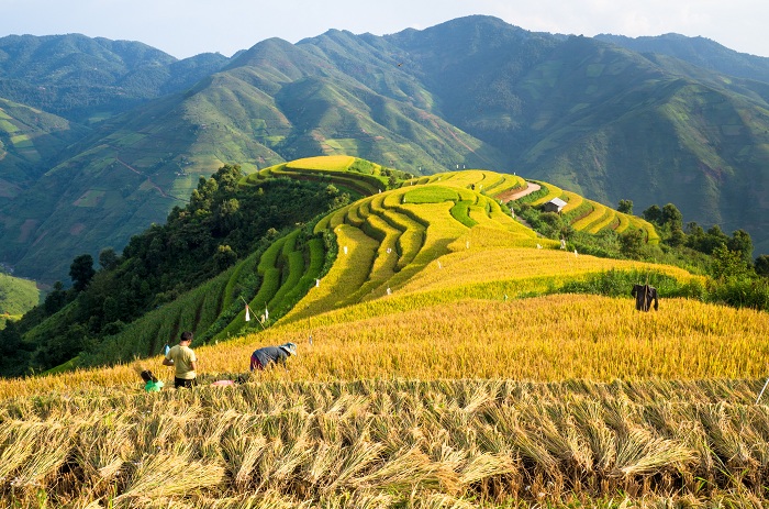 Tài nguyên tự nhiên của Việt Nam là một trong 6 chỉ số trụ cột được xếp vào nhóm dẫn đầu thế giới